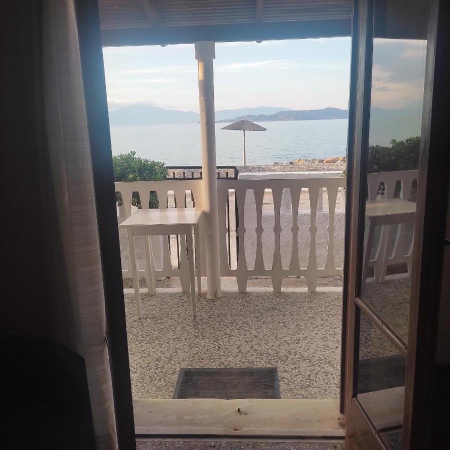 Alexia'S Beach House Káto Ássos エクステリア 写真